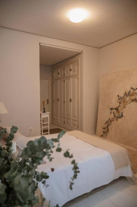 Appartamento Casa Aguila Casco Antiguo Patio Privado Caces Esterno foto